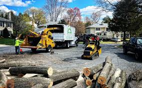 Mulching Services in Emmaus, PA